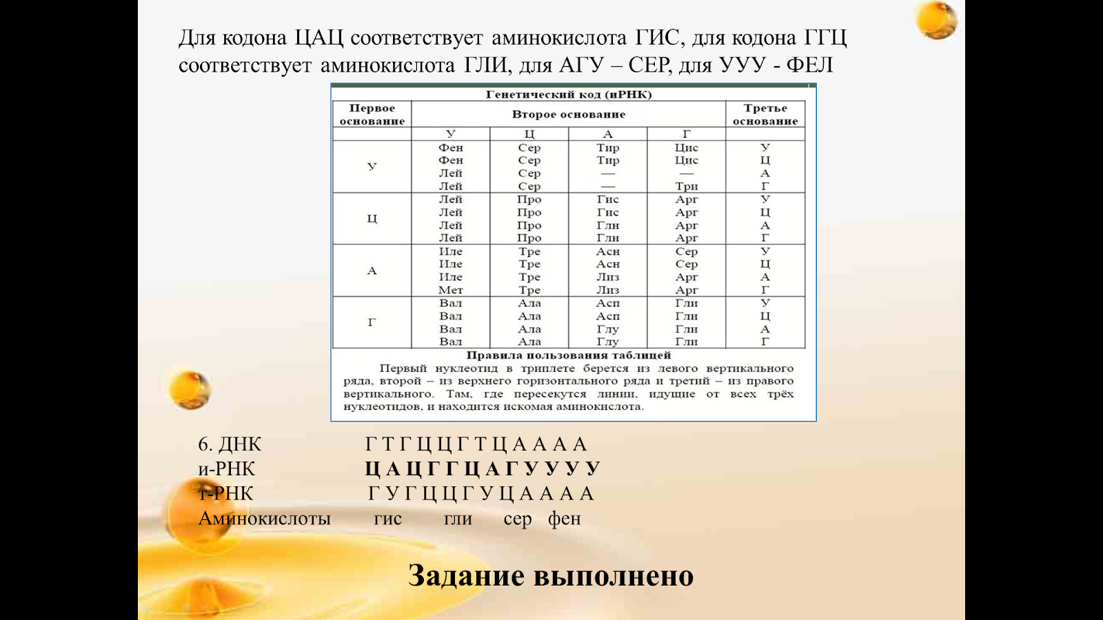 Таблица для 27 задания ЕГЭ по биологии